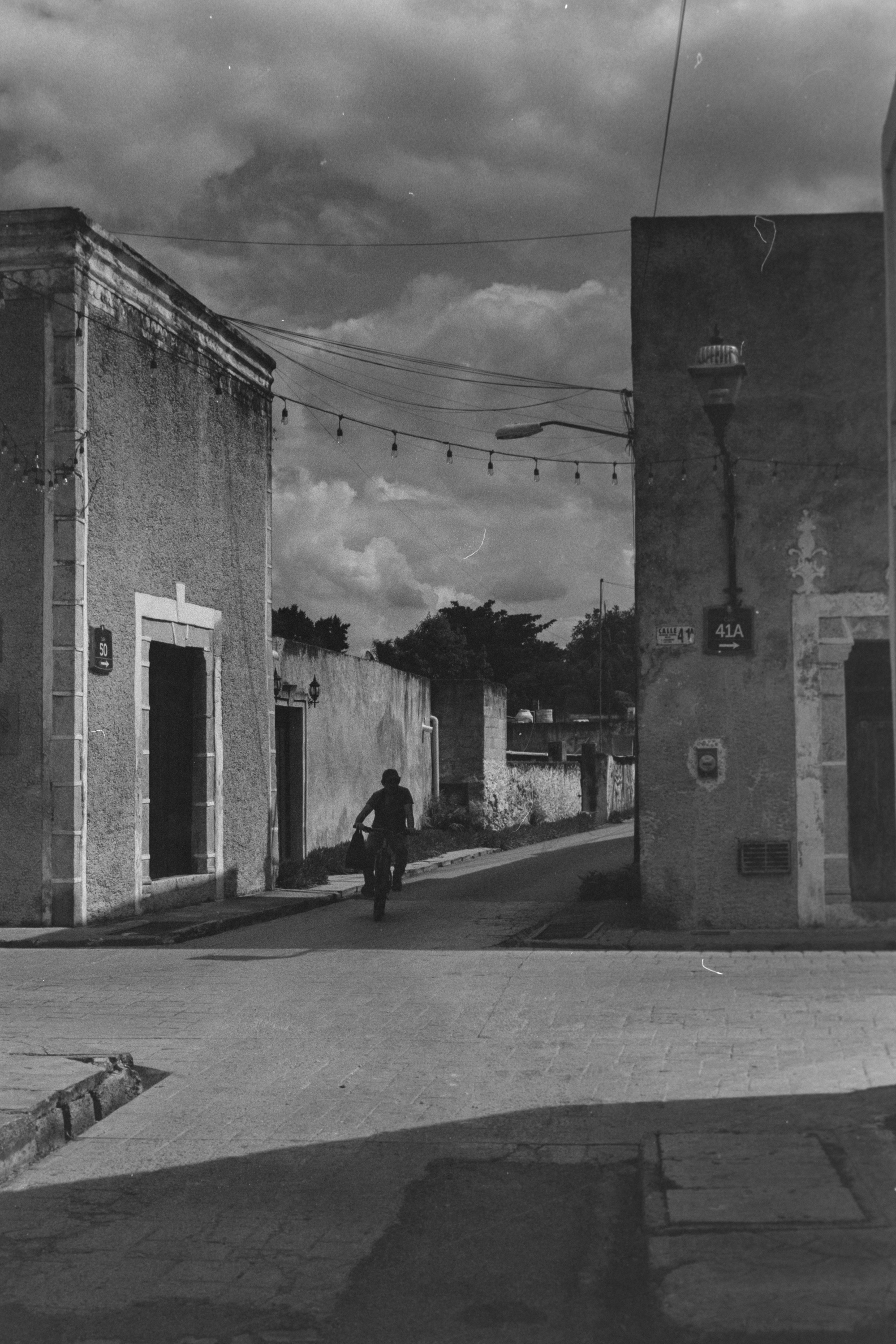 Descrizione dell'immagine 3