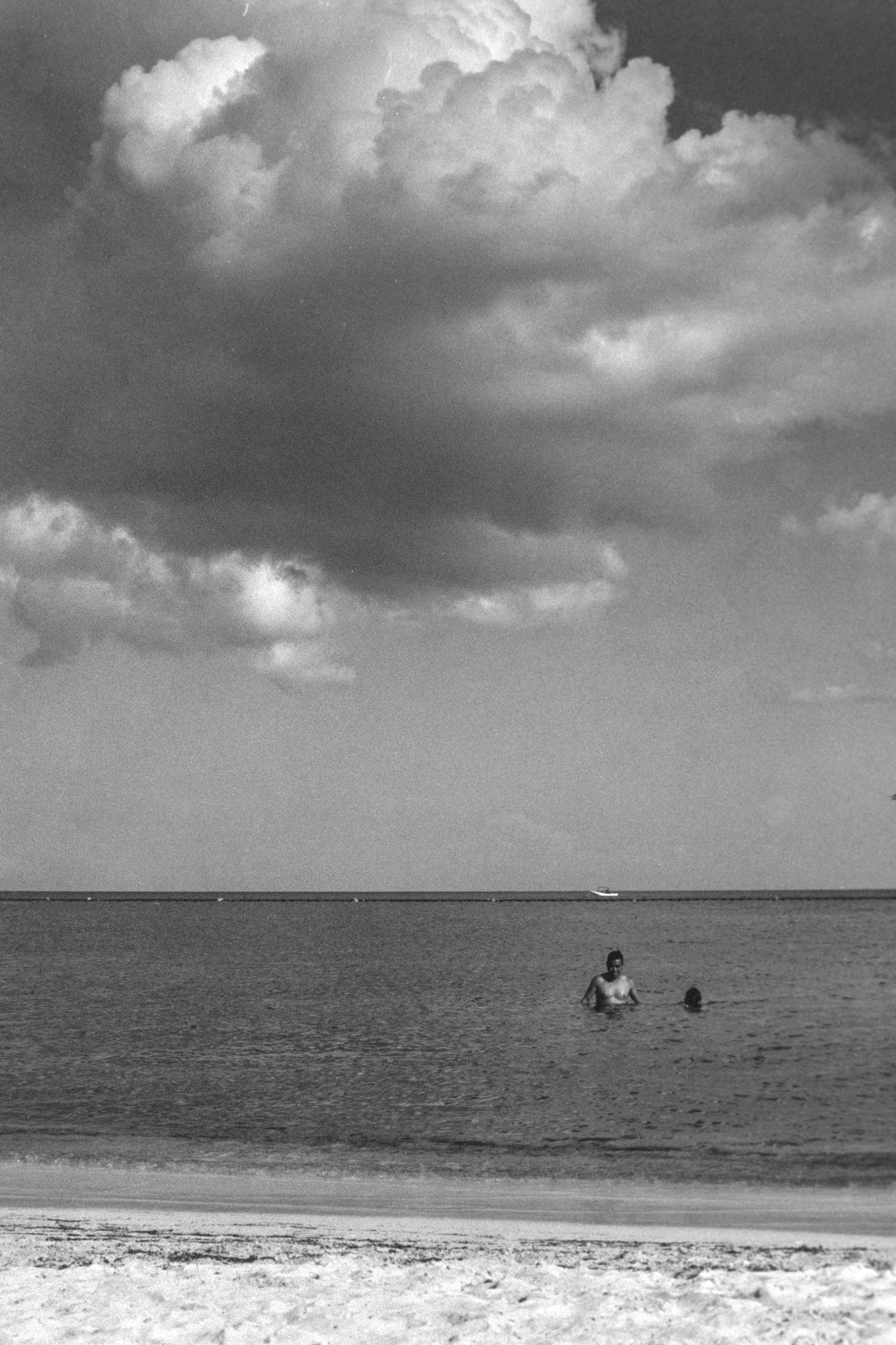 Descrizione dell'immagine 5